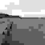 an