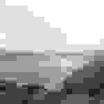 an