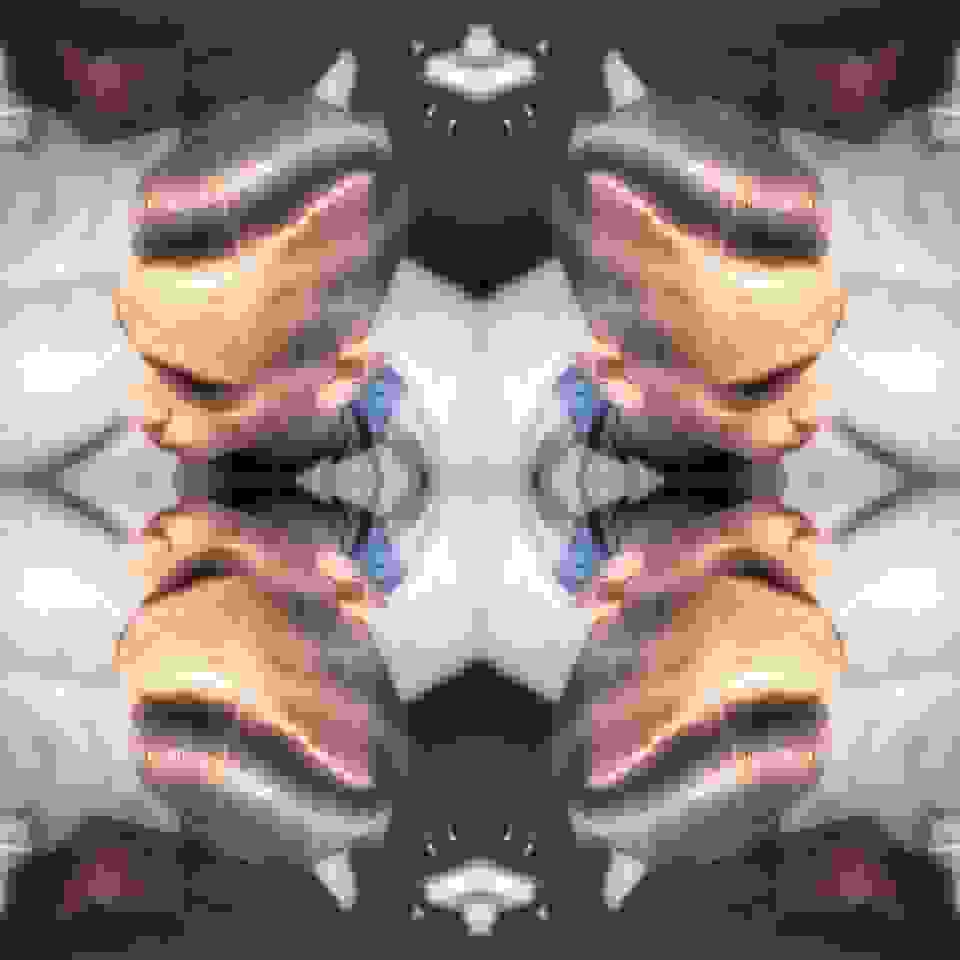 an7