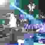 AN1