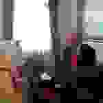 AN6