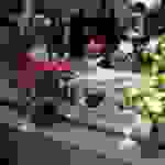 an