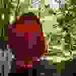an