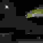an