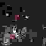 an