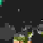 an