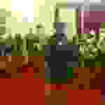 an