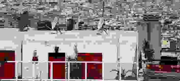 An 34