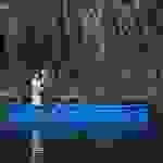 an