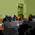 an1
