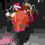 an1