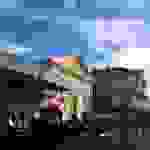 an1