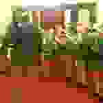 an1