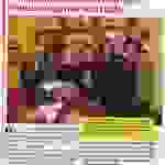 an1
