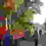 an13
