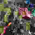 an14