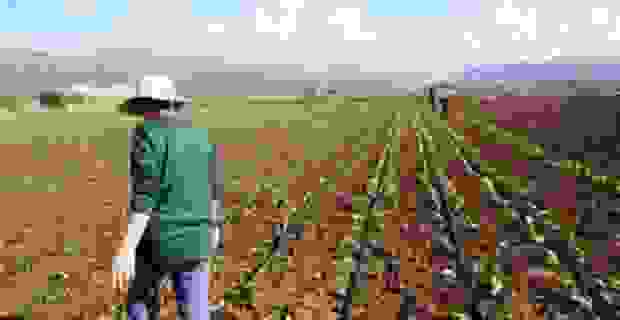 An147