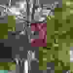 an16
