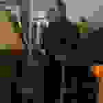 an2