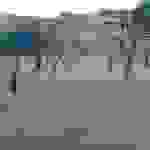 an2