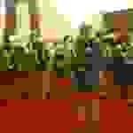 an2