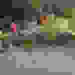 an3
