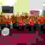 an3