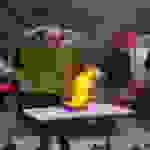 an5