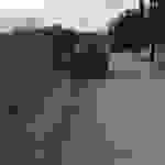 an5