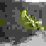 an7