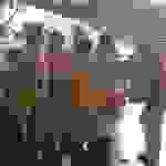 an7