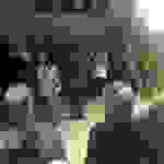 an8