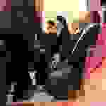 an8