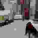 an8