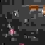 an9