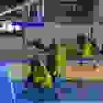 AN1