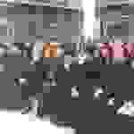 AN1
