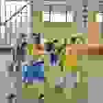 an