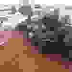 an
