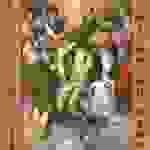 an