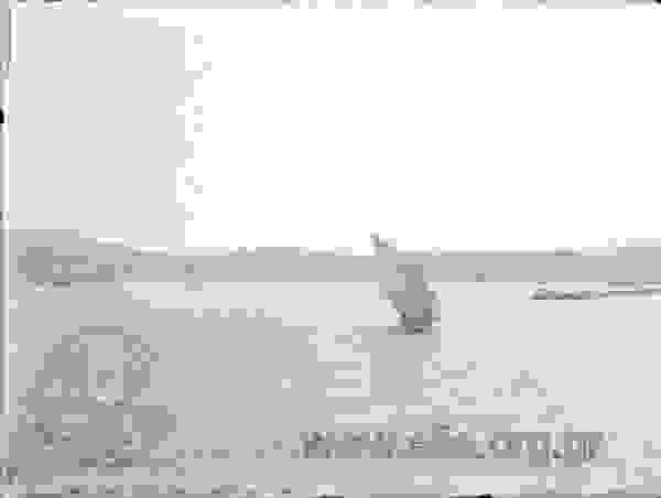 an