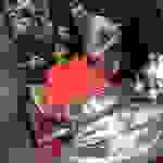 an