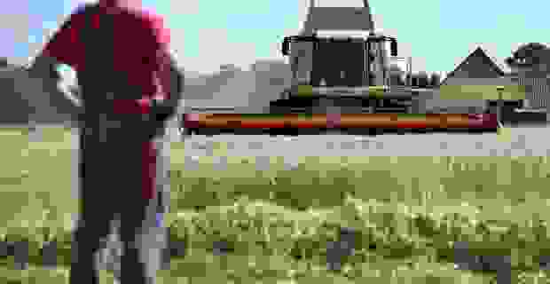 An 80