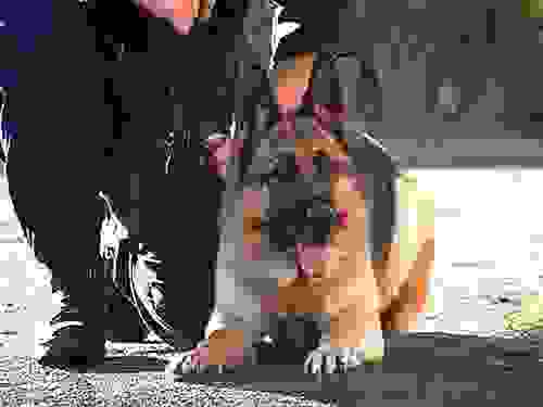An 89