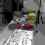 an1