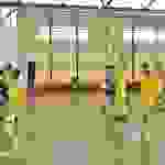 an1