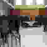 an1