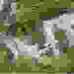 an1
