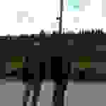 an1