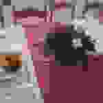 an1